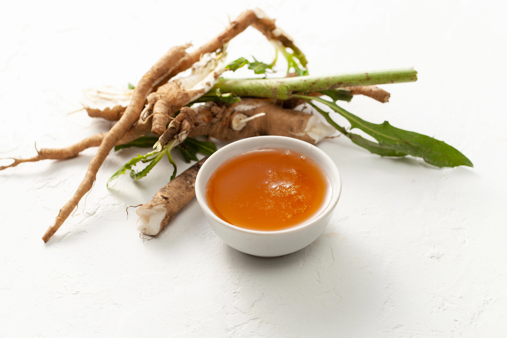 Freshly harvested chicory root next to a small bowl of natural extract.